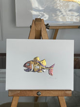 Load image into Gallery viewer, Funny fish
