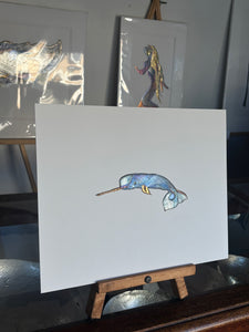 Narwhal