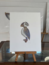 Load image into Gallery viewer, Puffin
