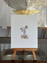 Load image into Gallery viewer, Pitcher plant
