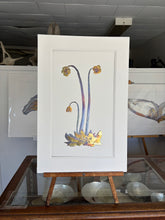 Load image into Gallery viewer, Pitcher plant
