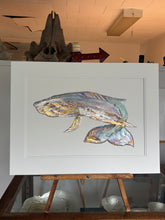 Load image into Gallery viewer, Whale
