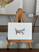 Load image into Gallery viewer, Clothesline
