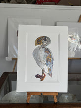 Load image into Gallery viewer, Puffin
