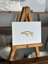 Load image into Gallery viewer, Whale
