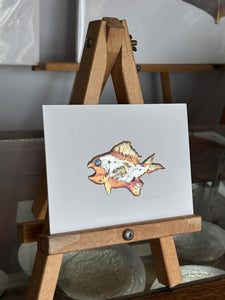Funky fish