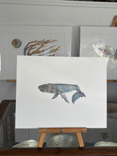 Load image into Gallery viewer, Whale
