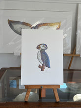 Load image into Gallery viewer, Puffin
