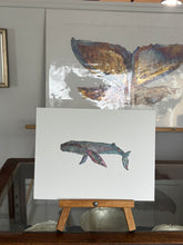 Load image into Gallery viewer, Whale
