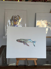 Load image into Gallery viewer, Whale
