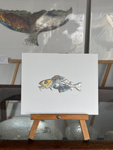 Load image into Gallery viewer, Cod fish
