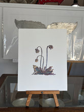 Load image into Gallery viewer, Pitcher plant
