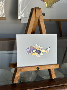 Funky fish