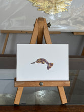 Load image into Gallery viewer, Narwhal
