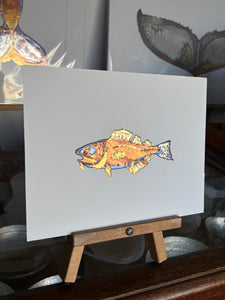 Cod fish