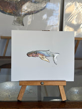 Load image into Gallery viewer, Whale
