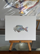 Load image into Gallery viewer, Mutant fish
