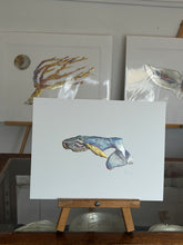 Load image into Gallery viewer, Whale
