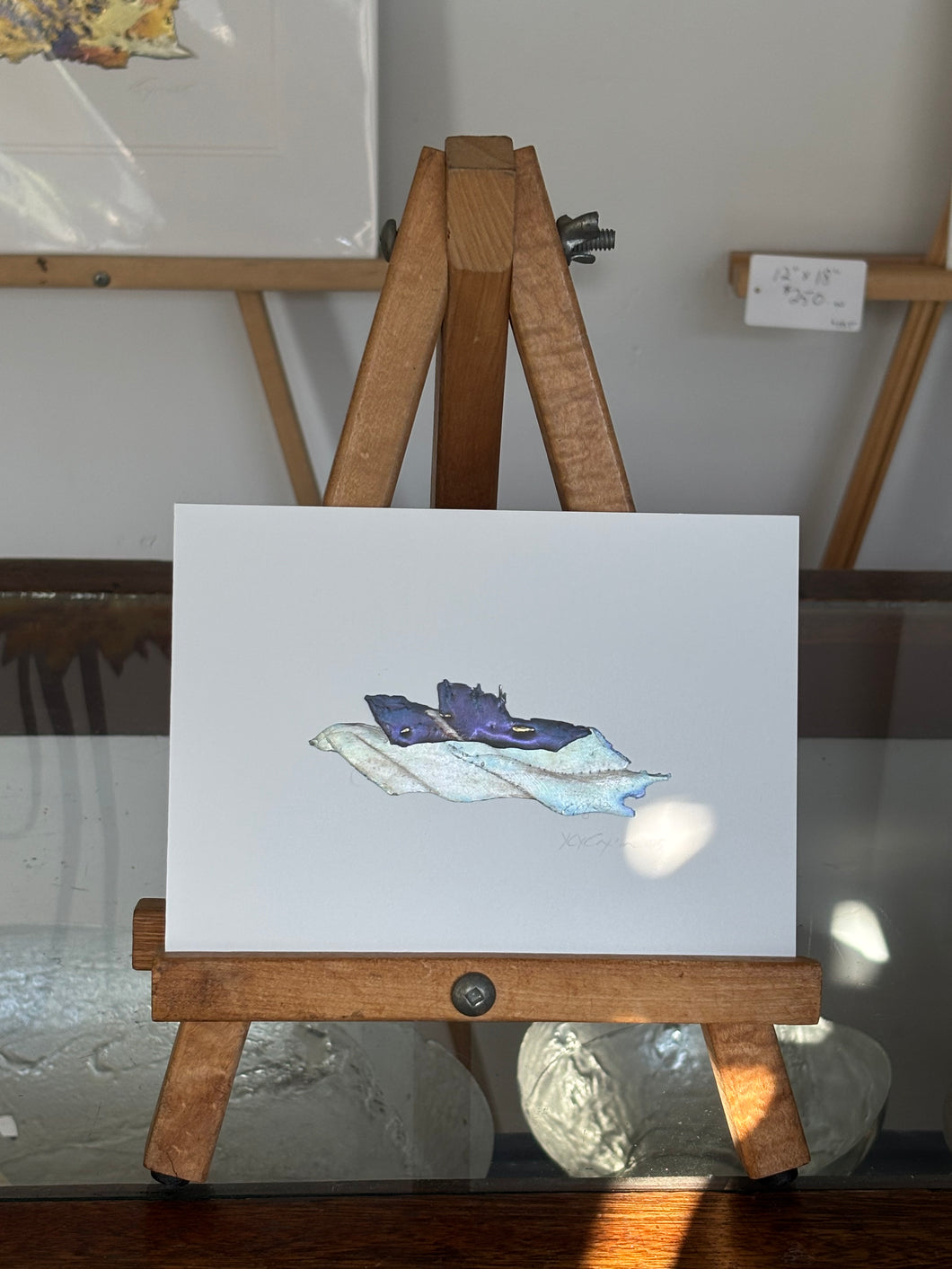 Ship in water