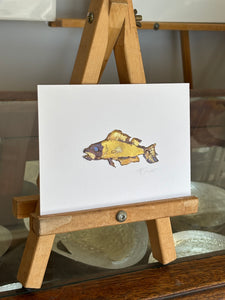 Funky fish