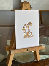 Load image into Gallery viewer, Pitcher plant
