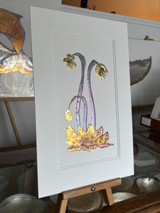 Pitcher Plant