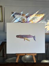Load image into Gallery viewer, Whale
