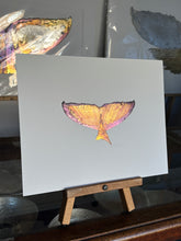 Load image into Gallery viewer, Whale tail
