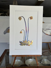 Load image into Gallery viewer, Pitcher plant
