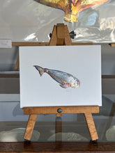 Load image into Gallery viewer, Whale
