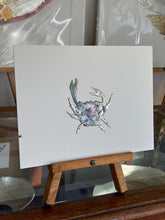 Load image into Gallery viewer, Crab
