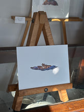 Load image into Gallery viewer, Ship in water

