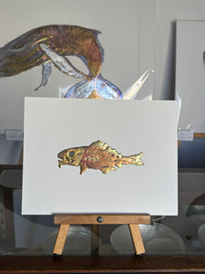Cod fish