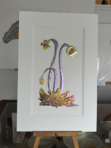 Pitcher Plant