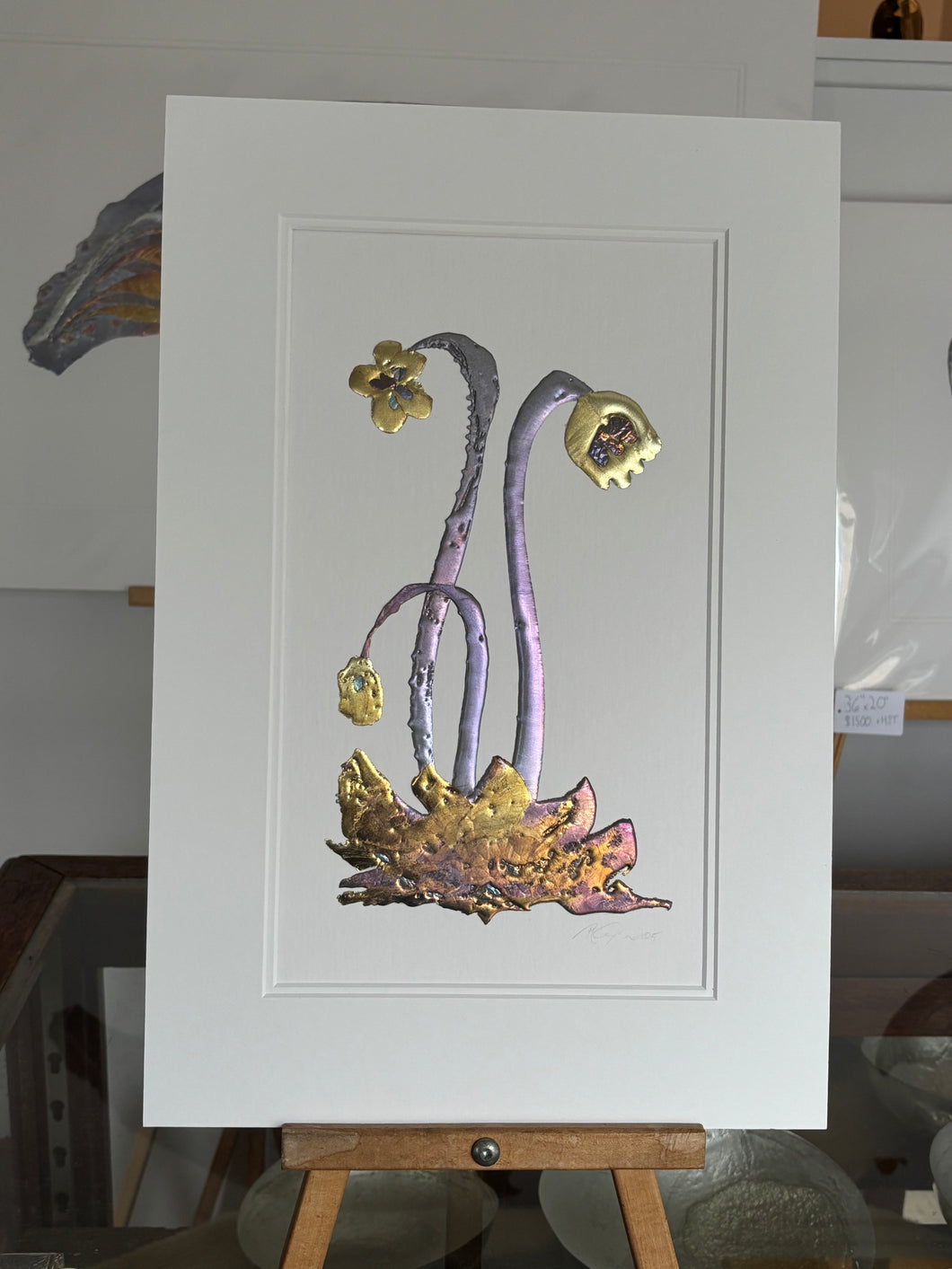 Pitcher Plant