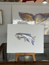 Load image into Gallery viewer, Whale
