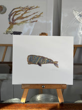Load image into Gallery viewer, Sperm whale
