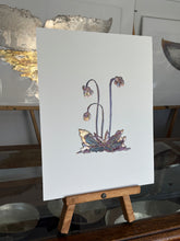 Load image into Gallery viewer, Pitcher plant

