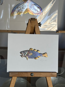 Funky fish