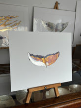 Load image into Gallery viewer, Whale tail
