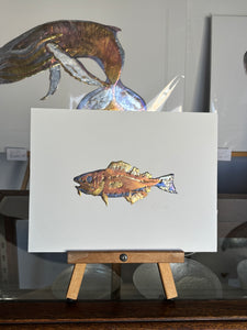 Cod fish