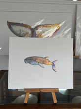 Load image into Gallery viewer, Whale
