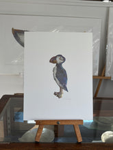 Load image into Gallery viewer, Puffin
