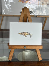 Load image into Gallery viewer, Whale

