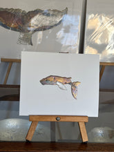 Load image into Gallery viewer, Whale
