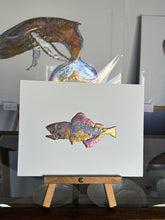 Load image into Gallery viewer, Cod fish
