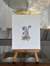 Load image into Gallery viewer, Pitcher plant
